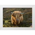 thumbnail image 1 of Jaynes Gallery 18x13 White Modern Wood Framed Museum Art Print Titled - Scotland-The Isle of Skye Close-up of highland cow, 1 of 4