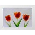 thumbnail image 1 of Jaynes Gallery 18x13 White Modern Wood Framed Museum Art Print Titled - Tulip in ice, 1 of 4