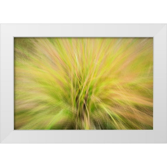 Jaynes Gallery 18x13 White Modern Wood Framed Museum Art Print Titled - USA-New Jersey-Cape May National Seashore Abstract sunrise on waving grasses