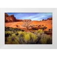 thumbnail image 1 of Jaynes Gallery 18x13 White Modern Wood Framed Museum Art Print Titled - Utah-Monument Valley Landscape and dead tree, 1 of 4
