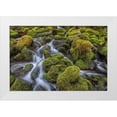 thumbnail image 1 of Jaynes Gallery 18x13 White Modern Wood Framed Museum Art Print Titled - Washington State-Olympic National Park Cedar Creek scenic, 1 of 4