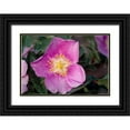 thumbnail image 1 of Jaynes Gallery 18x14 Black Ornate Wood Framed with Double Matting Museum Art Print Titled - Canada-Manitoba-Nopiming Provincial Park Pink rose blossom close-up, 1 of 4
