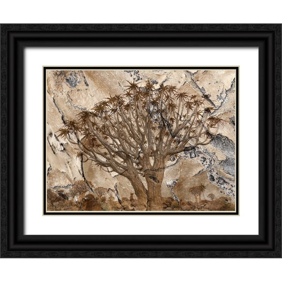 Jaynes Gallery 18x14 Black Ornate Wood Framed with Double Matting Museum Art Print Titled - Africa-Namibia-Quiver tree and bark photo montage