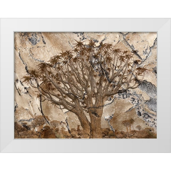 Jaynes Gallery 18x14 White Modern Wood Framed Museum Art Print Titled - Africa-Namibia-Quiver tree and bark photo montage