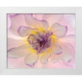 thumbnail image 1 of Jaynes Gallery 18x15 White Modern Wood Framed Museum Art Print Titled - Washington-Seabeck Glowing dahlia flower close-up, 1 of 4