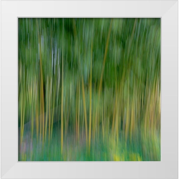 Jaynes Gallery 20x20 White Modern Wood Framed Museum Art Print Titled - France-Giverny Abstract of bamboo forest in Monets Garden