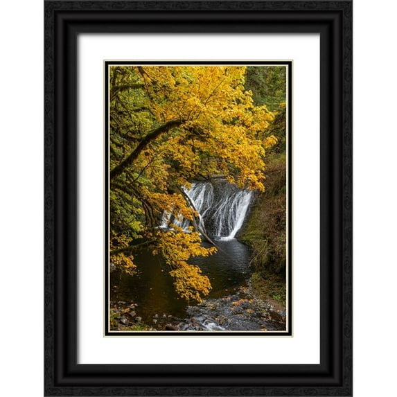 Jaynes Gallery 23x32 Black Ornate Wood Framed with Double Matting Museum Art Print Titled - USA-Oregon-Silver Falls State Park Lower South Falls waterfall landscape