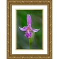thumbnail image 1 of Jaynes Gallery 23x32 Gold Ornate Wood Framed with Double Matting Museum Art Print Titled - Canada-Ontario-Bruce Peninsula National Park Dragons mouth orchid close-up, 1 of 4