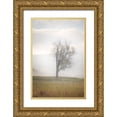 thumbnail image 1 of Jaynes Gallery 23x32 Gold Ornate Wood Framed with Double Matting Museum Art Print Titled - USA-West Virginia-Davis Lone tree in foggy field, 1 of 4