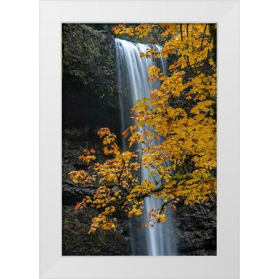 Jaynes Gallery 23x32 White Modern Wood Framed Museum Art Print Titled - USA-Oregon-Silver Falls State Park Tall waterfall and forest in autumn