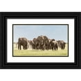 thumbnail image 1 of Jaynes Gallery 24x15 Black Ornate Wood Framed with Double Matting Museum Art Print Titled - Africa-African elephant-Amboseli National Park Panoramic of front of elephant herd walking, 1 of 4