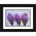 thumbnail image 1 of Jaynes Gallery 24x17 Black Ornate Wood Framed with Double Matting Museum Art Print Titled - Canada-Manitoba-Sandilands Provincial Forest Prairie crocus flowers in late snow, 1 of 4