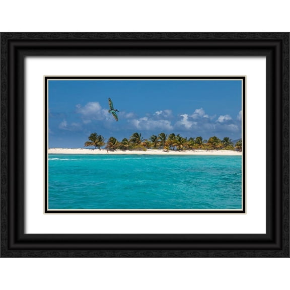 Jaynes Gallery 24x17 Black Ornate Wood Framed with Double Matting Museum Art Print Titled - Caribbean-Grenada-Sandy Island Pelican flies over ocean shore