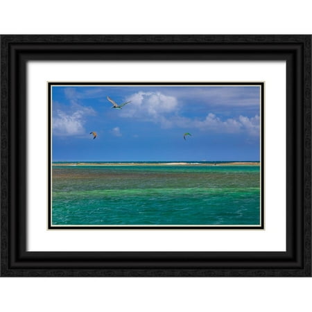 Jaynes Gallery 24x17 Black Ornate Wood Framed with Double Matting Museum Art Print Titled - Caribbean-Grenada-Union Island Surf kites and pelican flying over ocean