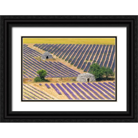 Jaynes Gallery 24x17 Black Ornate Wood Framed with Double Matting Museum Art Print Titled - Europe-France-Provence-Lavender field and stone huts in Sault Plateau