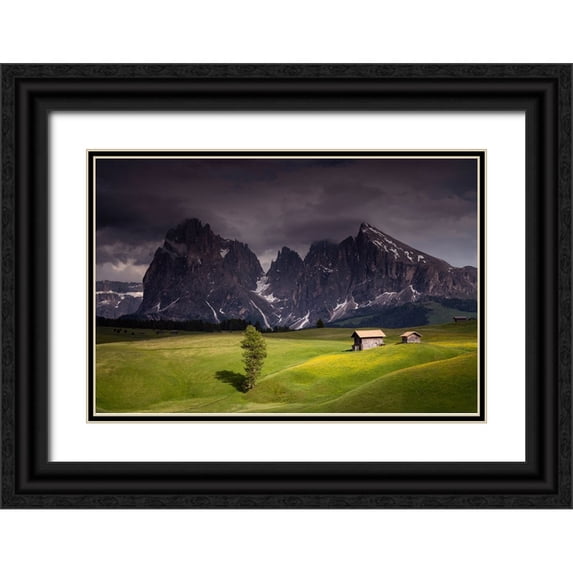 Jaynes Gallery 24x17 Black Ornate Wood Framed with Double Matting Museum Art Print Titled - Europe-Italy-South Tirol-Alpine meadows with the Sasso Lungo and Sasso Piatto Mountains