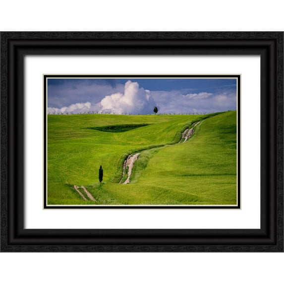 Jaynes Gallery 24x17 Black Ornate Wood Framed with Double Matting Museum Art Print Titled - Europe-Italy-Tuscany-Val d Orcia-Cypress tree and winding road in farmland hills