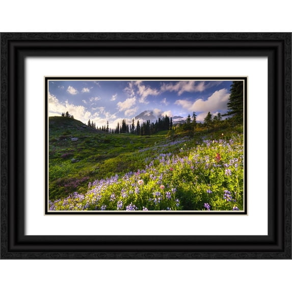 Jaynes Gallery 24x17 Black Ornate Wood Framed with Double Matting Museum Art Print Titled - USA-Washington-Mt-Rainier National Park-Mountain meadow with wildflowers
