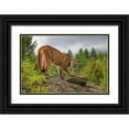 thumbnail image 1 of Jaynes Gallery 24x17 Black Ornate Wood Framed with Double Matting Museum Art Print Titled - Montana Mountain lion in controlled environment, 1 of 4