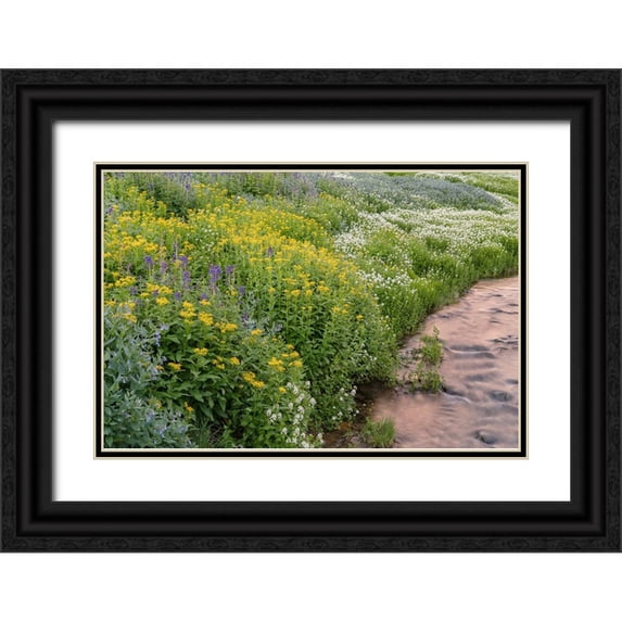 Jaynes Gallery 24x17 Black Ornate Wood Framed with Double Matting Museum Art Print Titled - USA-Colorado Mountain wildflowers and stream