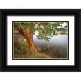 thumbnail image 1 of Jaynes Gallery 24x17 Black Ornate Wood Framed with Double Matting Museum Art Print Titled - Washington State-Holly Madrone tree next to Hood Canal, 1 of 4