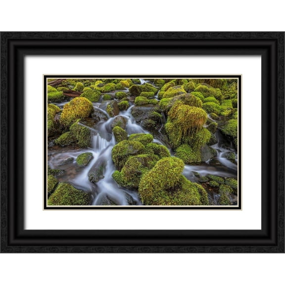 Jaynes Gallery 24x17 Black Ornate Wood Framed with Double Matting Museum Art Print Titled - Washington State-Olympic National Park Cedar Creek scenic