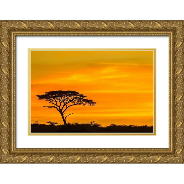 Jaynes Gallery 24x17 Gold Ornate Wood Framed with Double Matting Museum Art Print Titled - Africa-Tanzania-Serengeti National Park Acacia tree silhouette at sunset