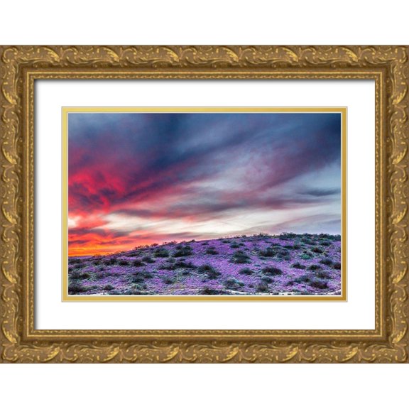 Jaynes Gallery 24x17 Gold Ornate Wood Framed with Double Matting Museum Art Print Titled - Arizona-Globe-Round Mountain Park-Sunset on desert super bloom