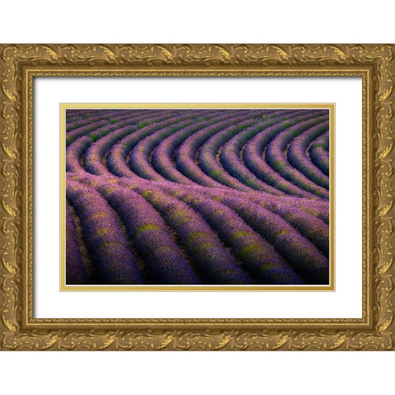 Jaynes Gallery 24x17 Gold Ornate Wood Framed with Double Matting Museum Art Print Titled - Europe-France-Provence-Valensole Plateau-Rows of ripe lavender