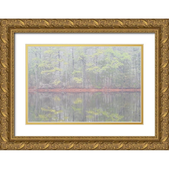 Jaynes Gallery 24x17 Gold Ornate Wood Framed with Double Matting Museum Art Print Titled - USA-New Jersey-Pine Barrens National Preserve Foggy forest landscape reflects in lake