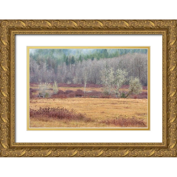 Jaynes Gallery 24x17 Gold Ornate Wood Framed with Double Matting Museum Art Print Titled - Washington State-Dewatto Autumn meadow and forest