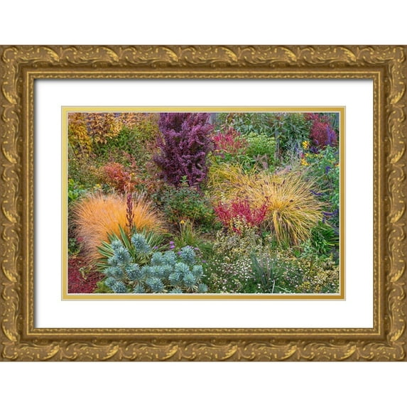 Jaynes Gallery 24x17 Gold Ornate Wood Framed with Double Matting Museum Art Print Titled - Washington State-Lemolo Garden in autumn