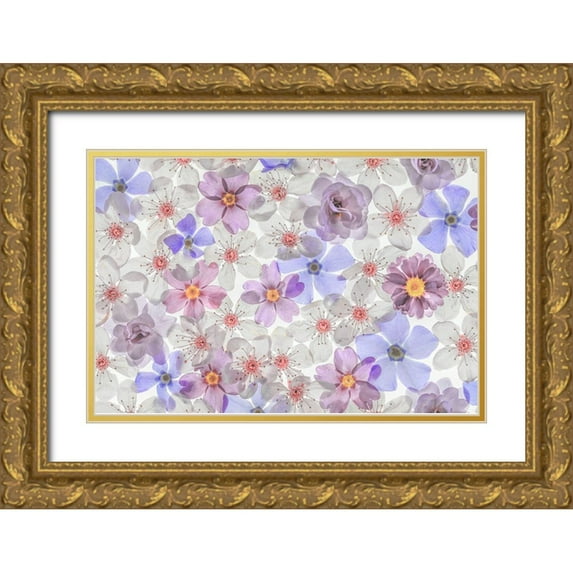 Jaynes Gallery 24x17 Gold Ornate Wood Framed with Double Matting Museum Art Print Titled - Washington State-Seabeck Montage of spring flowers