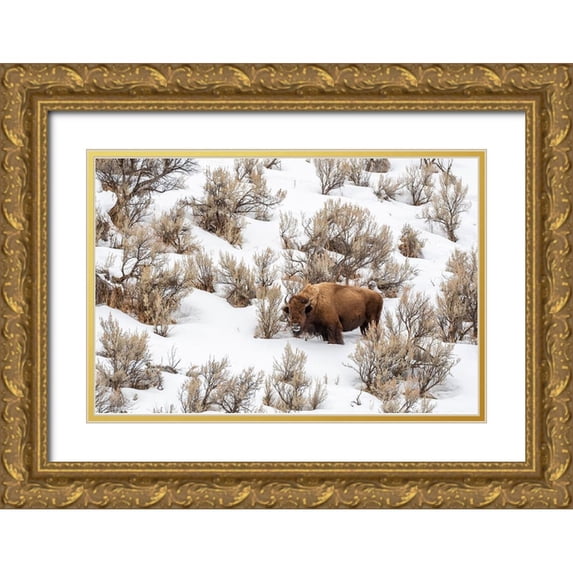 Jaynes Gallery 24x17 Gold Ornate Wood Framed with Double Matting Museum Art Print Titled - Wyoming-Yellowstone National Park Bison in snow