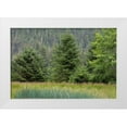 thumbnail image 1 of Jaynes Gallery 24x17 White Modern Wood Framed Museum Art Print Titled - Alaska-Tongass National Forest Meadow and forest landscape, 1 of 4