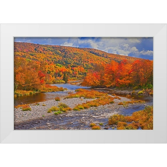 Jaynes Gallery 24x17 White Modern Wood Framed Museum Art Print Titled - Canada-Nova Scotia-Cape Breton Island The North River and forest in autumn foliage