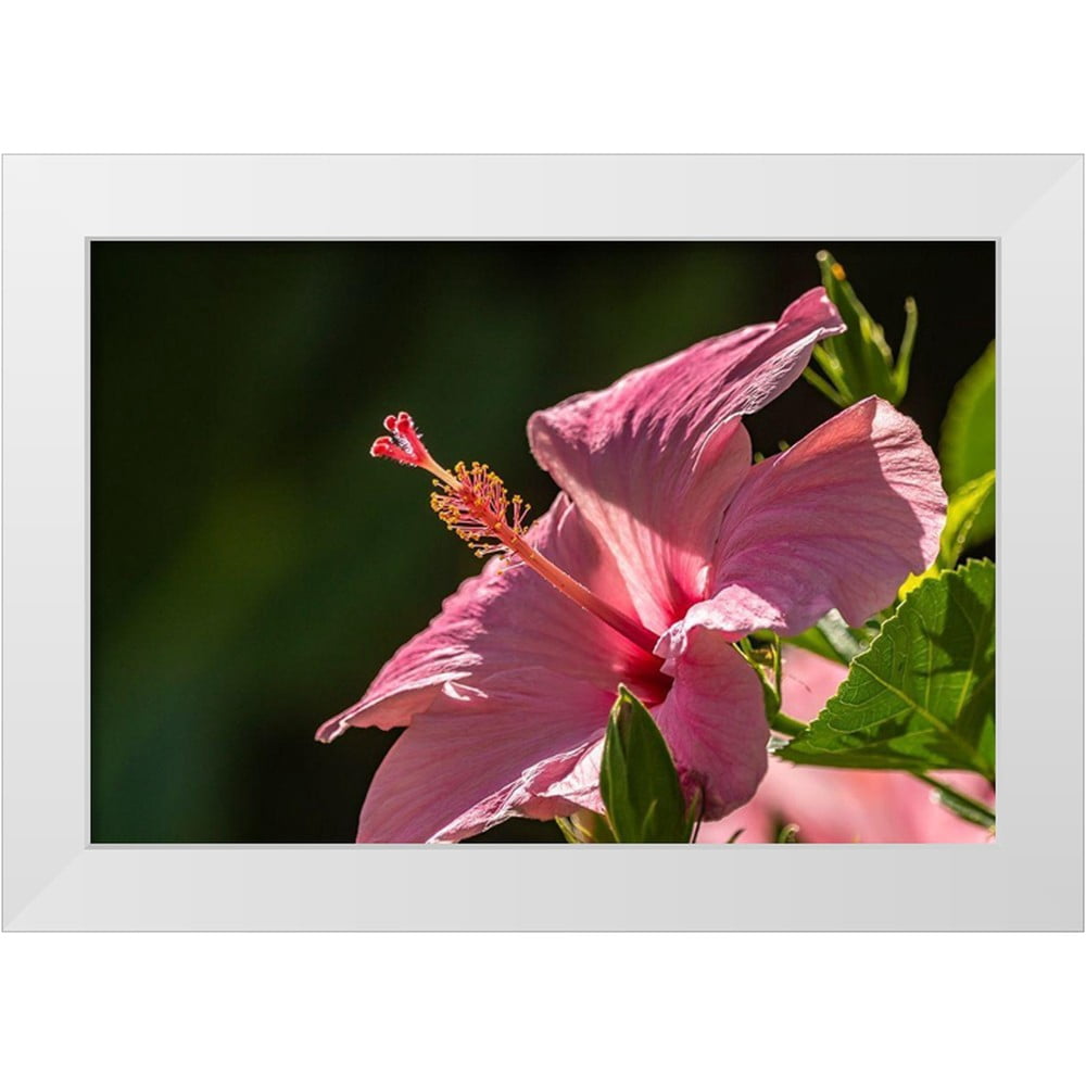 Nature Centered Art Principles photo