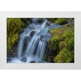 thumbnail image 1 of Jaynes Gallery 24x17 White Modern Wood Framed Museum Art Print Titled - USA-Washington State-Olympic National Park Cedar Creek cascades through moss- covered boulders, 1 of 4