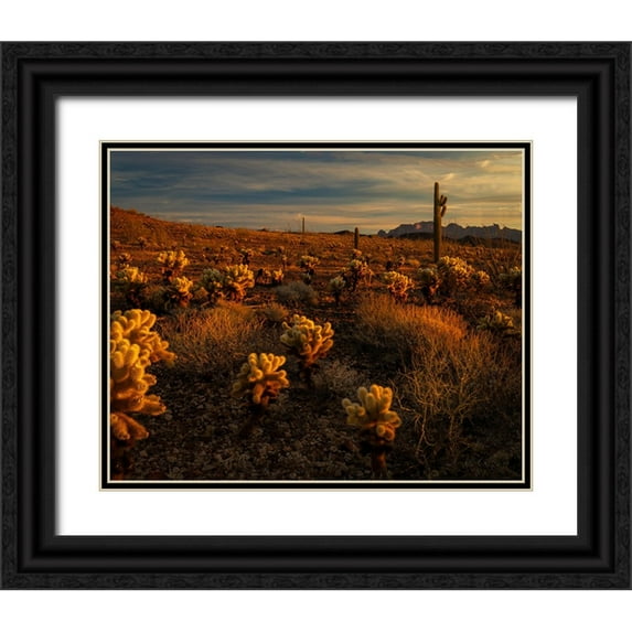 Jaynes Gallery 24x20 Black Ornate Wood Framed with Double Matting Museum Art Print Titled - USA-Arizona-Kofa National Wildlife Area-Mountain and desert landscape at sunrise