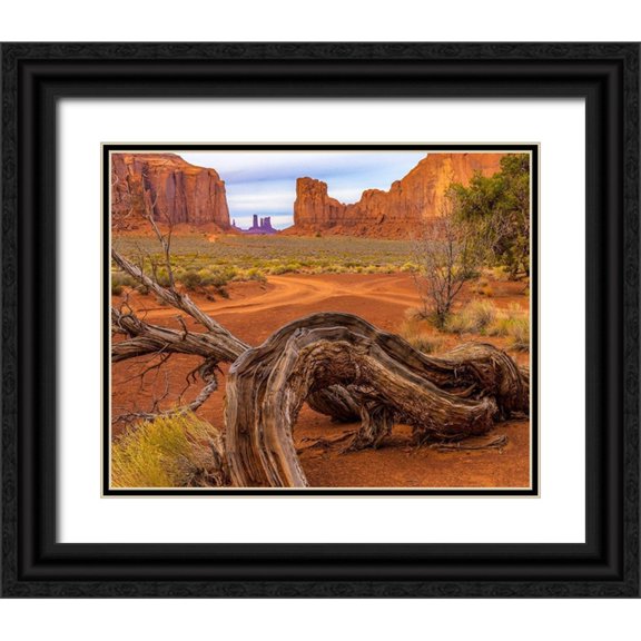 Jaynes Gallery 24x20 Black Ornate Wood Framed with Double Matting Museum Art Print Titled - Utah-Monument Valley Landscape and dead tree