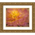 thumbnail image 1 of Jaynes Gallery 24x20 Gold Ornate Wood Framed with Double Matting Museum Art Print Titled - New Jersey-Rio Grande Mum flower close-up, 1 of 4