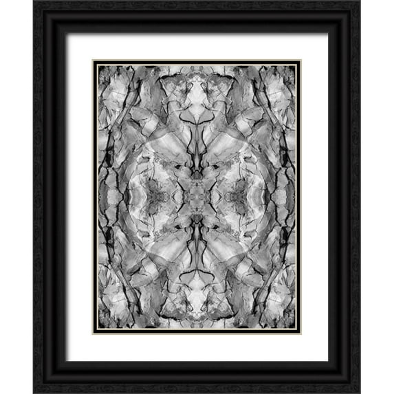 Jaynes Gallery 25x32 Black Ornate Wood Framed with Double Matting Museum Art Print Titled - Black and white of quiver tree bark abstract