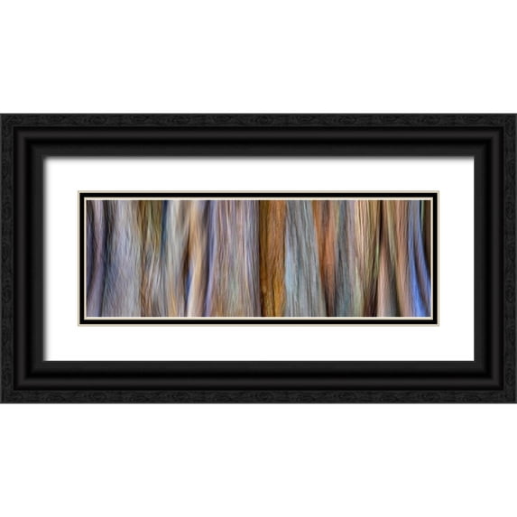 Jaynes Gallery 32x14 Black Ornate Wood Framed with Double Matting Museum Art Print Titled - USA-Washington State-Seabeck Panoramic abstract of tree trunk and limbs