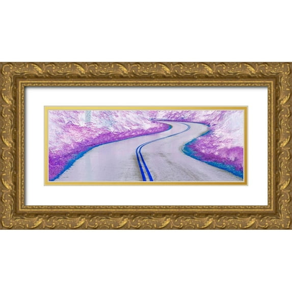 Jaynes Gallery 32x14 Gold Ornate Wood Framed with Double Matting Museum Art Print Titled - Washington State-Olympic National Park Panoramic abstract of curving park road