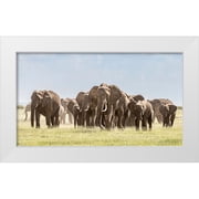 Jaynes Gallery 32x20 White Modern Wood Framed Museum Art Print Titled - Africa-African elephant-Amboseli National Park Panoramic of front of elephant herd walking