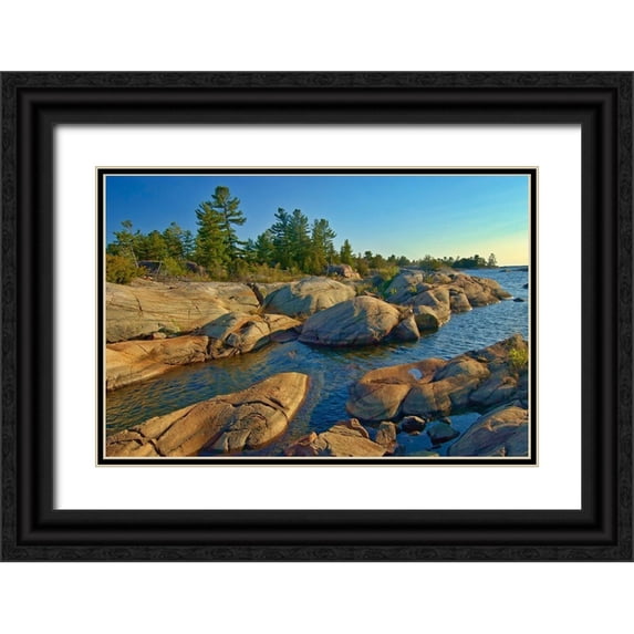 Jaynes Gallery 32x23 Black Ornate Wood Framed with Double Matting Museum Art Print Titled - Canada-Ontario-Honey Harbour Trees on Precambrian shield rock
