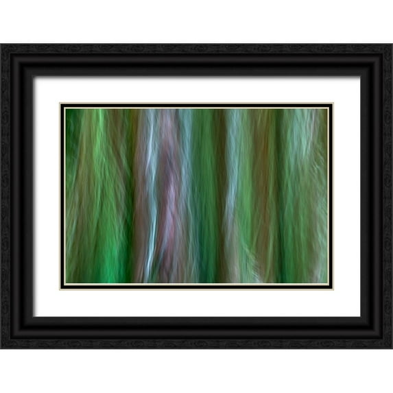Jaynes Gallery 32x23 Black Ornate Wood Framed with Double Matting Museum Art Print Titled - USA-Washington State-Seabeck Forest fantasy in Guillemot Cove Nature Preserve
