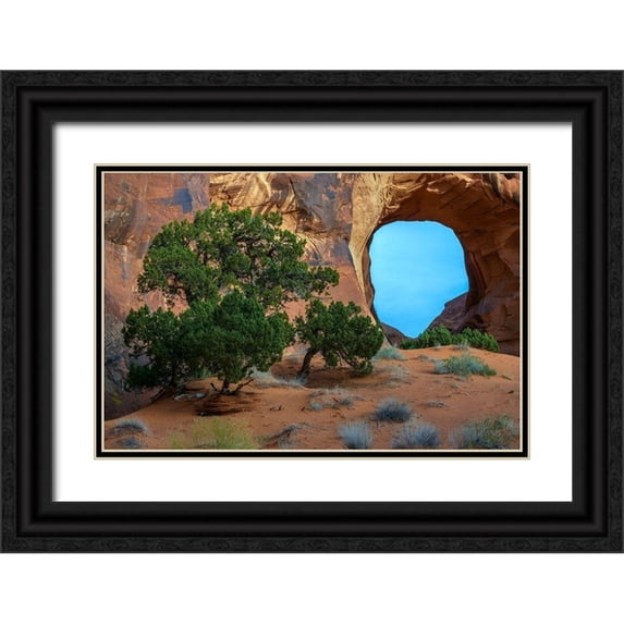 Jaynes Gallery 32x23 Black Ornate Wood Framed with Double Matting Museum Art Print Titled - Utah-Monument Valley Landscape with sandstone formations and trees