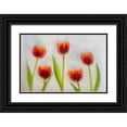 thumbnail image 1 of Jaynes Gallery 32x23 Black Ornate Wood Framed with Double Matting Museum Art Print Titled - Tulip in ice, 1 of 4