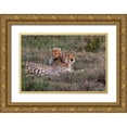 thumbnail image 1 of Jaynes Gallery 32x23 Gold Ornate Wood Framed with Double Matting Museum Art Print Titled - Africa-Tanzania-Serengeti National Park Mother cheetah and baby, 1 of 4